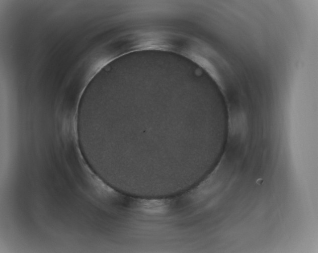 X0000112161338200908211426