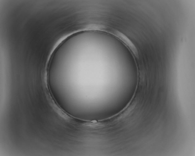 X0000112161340200908211426