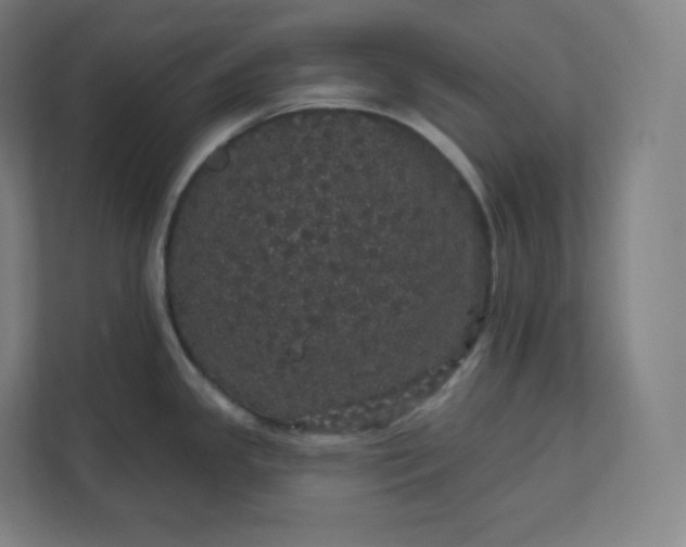 X0000112161341200908211426