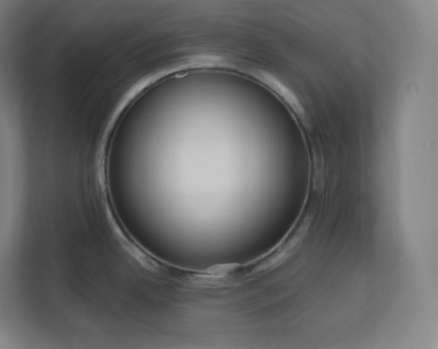 X0000112161342200908211426