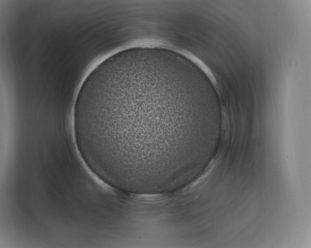 X0000112161343200908211426