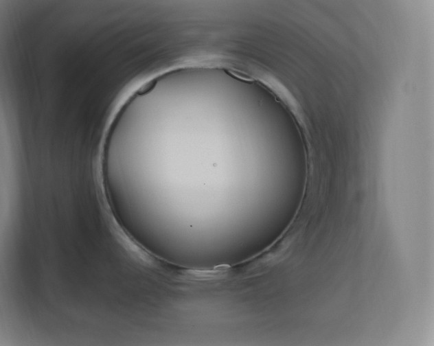 X0000112161344200908211426