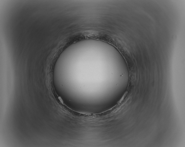 X0000112161345200908211426