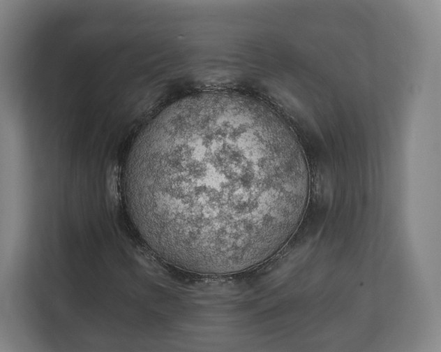 X0000112161346200908211426