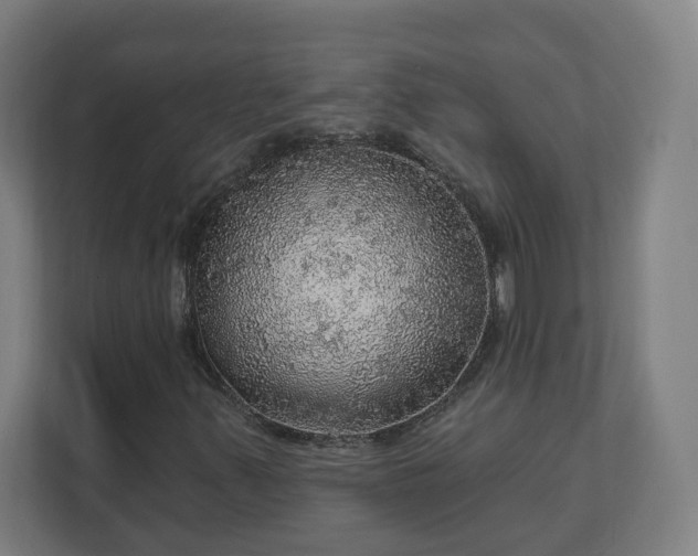 X0000112161347200908211426