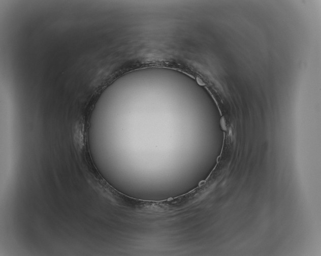 X0000112161348200908211426