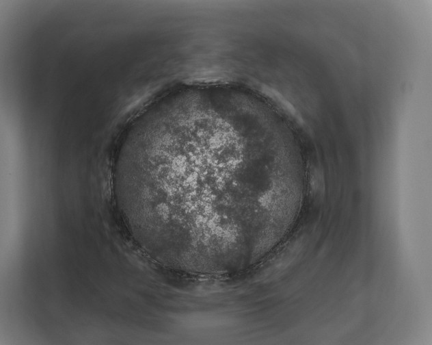 X0000112161350200908211426