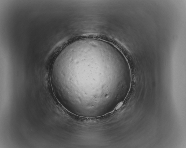 X0000112161351200908211426