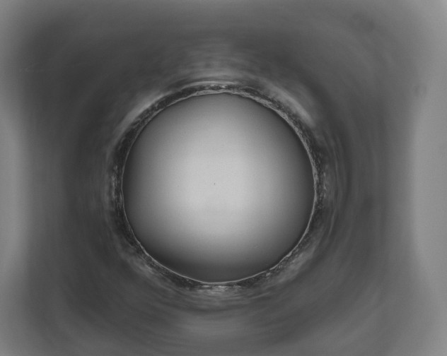 X0000112161352200908211426