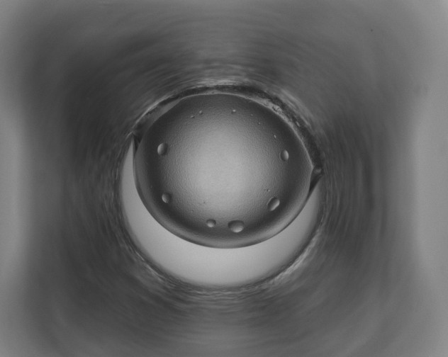 X0000112161353200908211426