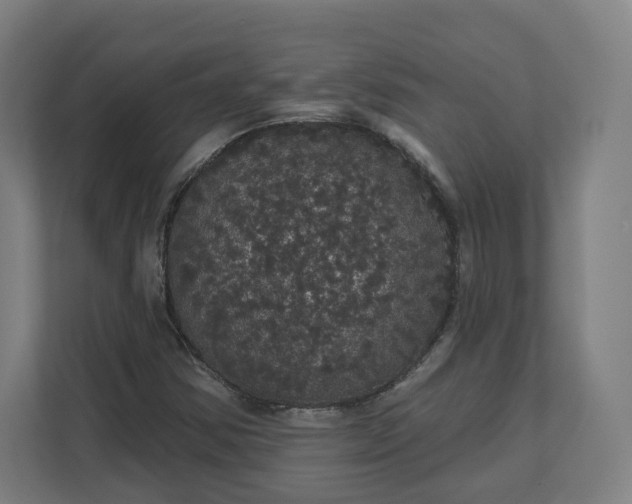 X0000112161354200908211426