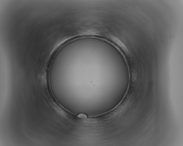 X0000112161356200908211426