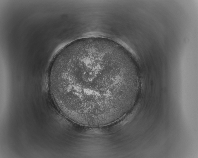 X0000112161358200908211426