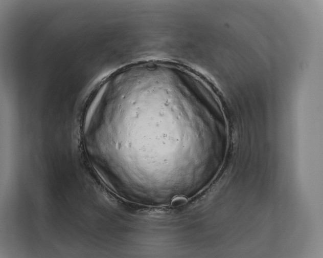 X0000112161359200908211426