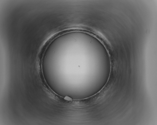 X0000112161360200908211426