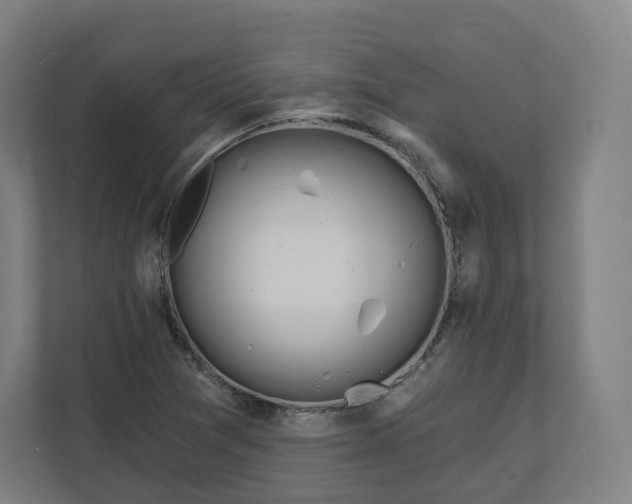 X0000112161361200908211426