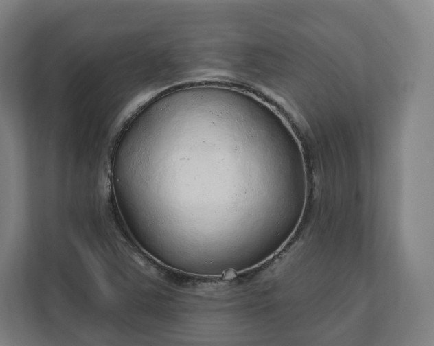 X0000112161363200908211426