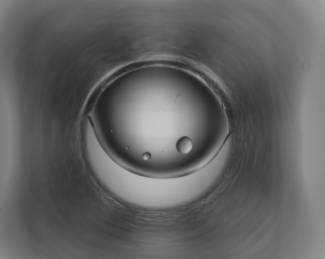 X0000112161364200908211426