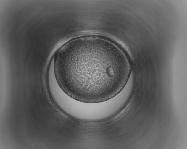 X0000112161365200908211426