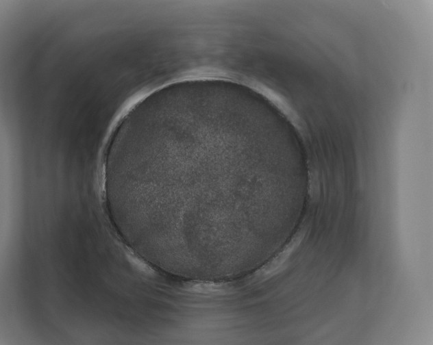 X0000112161366200908211426