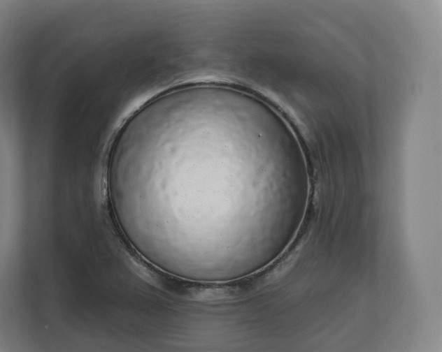 X0000112161367200908211426