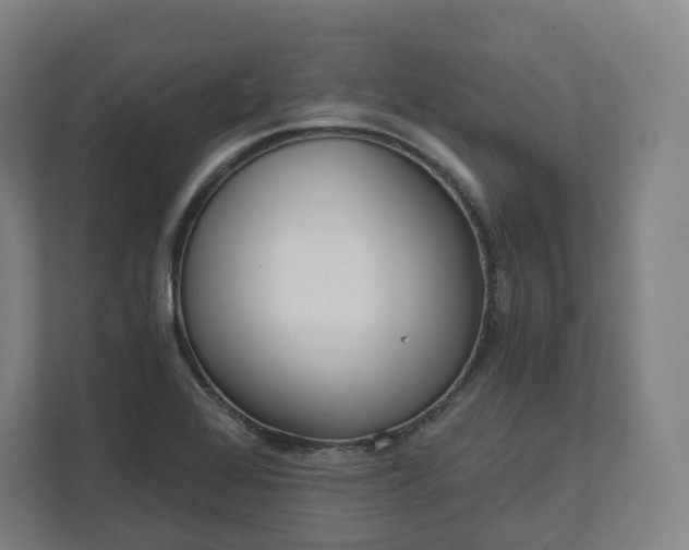 X0000112161368200908211426