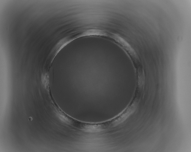 X0000112161369200908211426