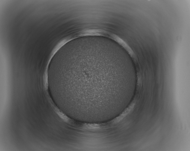 X0000112161370200908211426