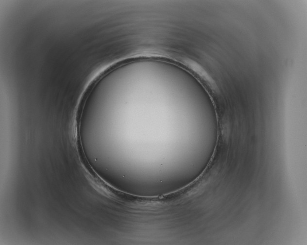 X0000112161372200908211426