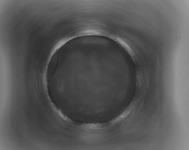 X0000112161373200908211426