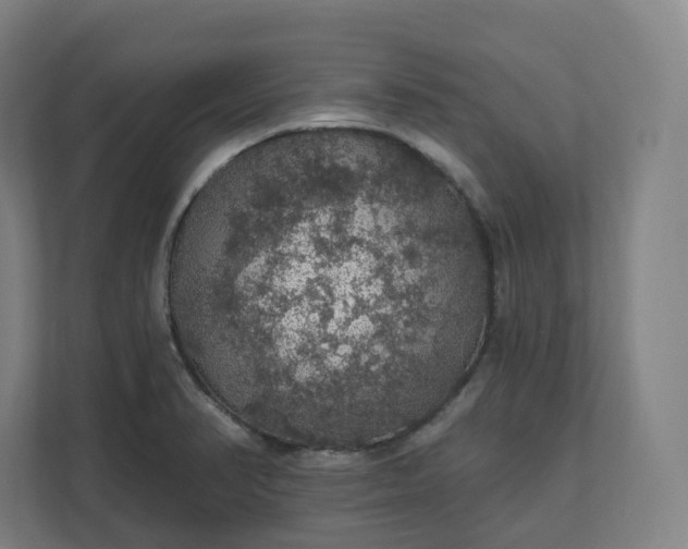 X0000112161374200908211425