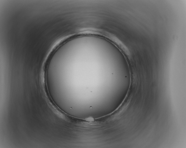 X0000112161376200908211425