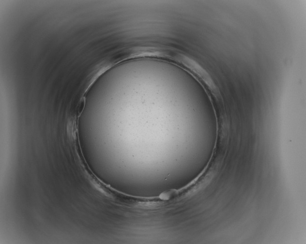 X0000112161377200908211425