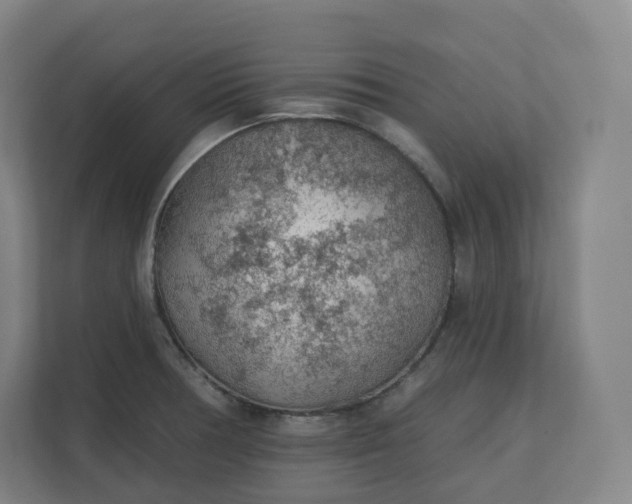 X0000112161378200908211425