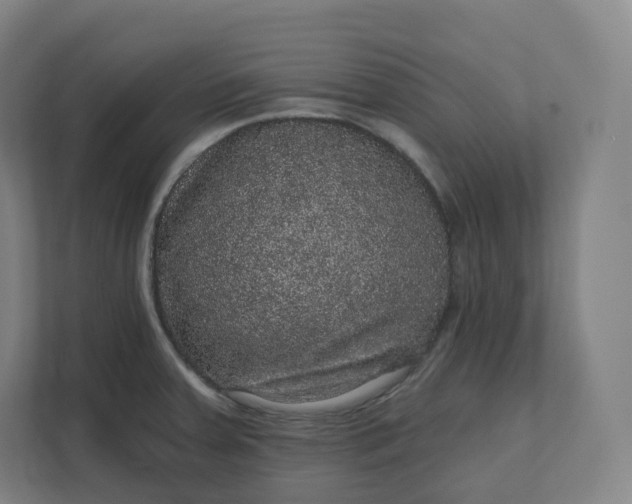 X0000112161379200908211425