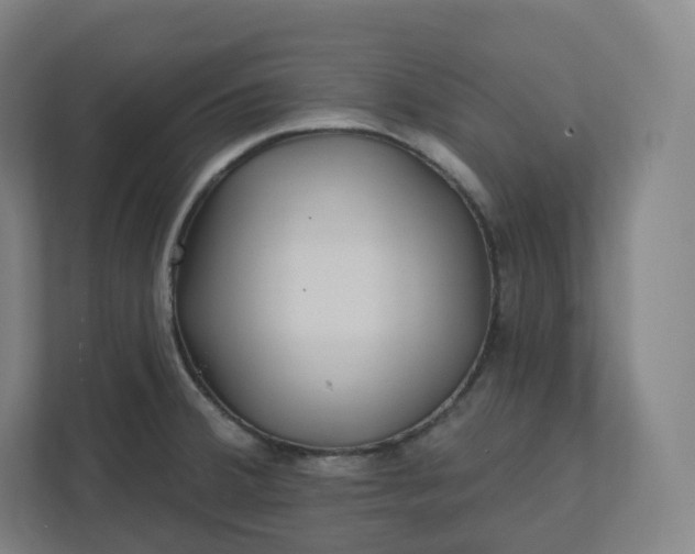 X0000112161380200908211425