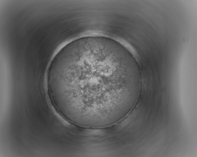 X0000112161382200908211425