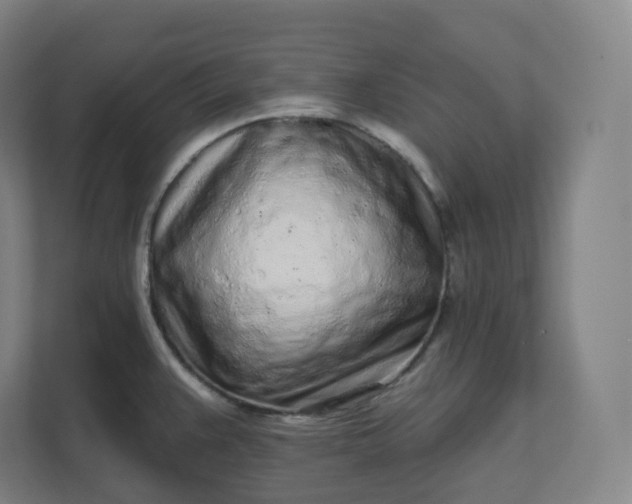 X0000112161383200908211425