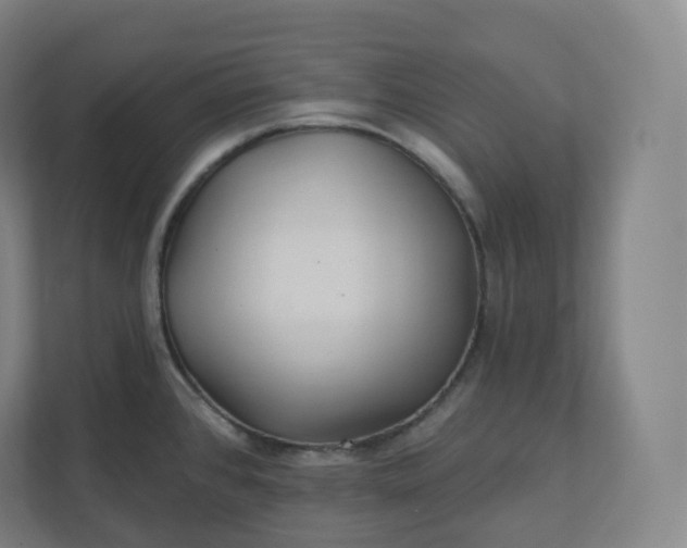 X0000112161384200908211425