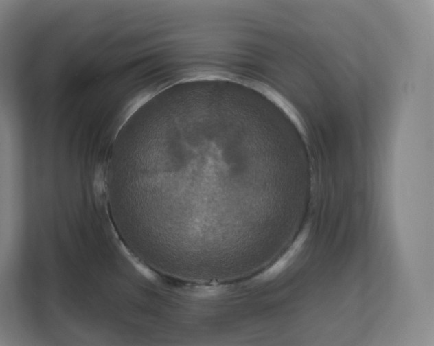 X0000112161385200908211425