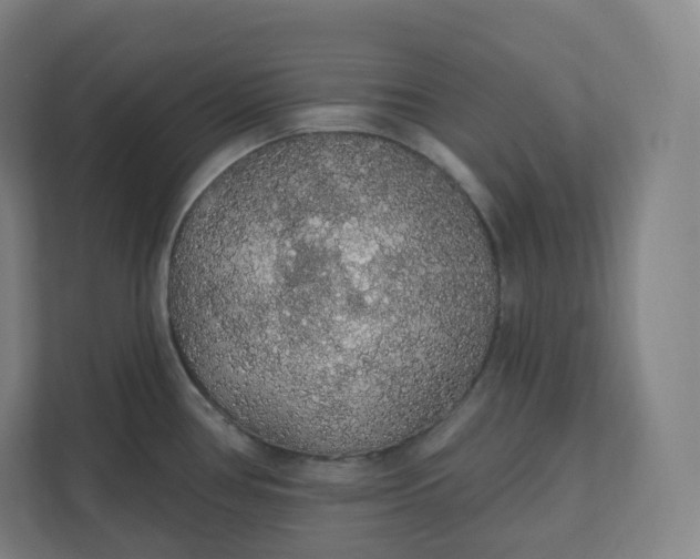 X0000112161386200908211425