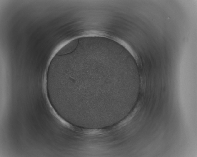 X0000112161387200908211425