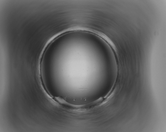 X0000112161388200908211425