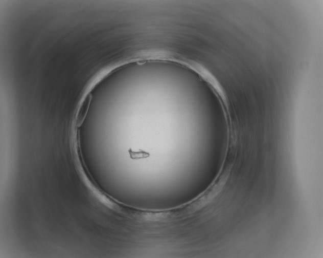 X0000112161389200908211425