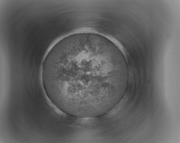 X0000112161390200908211425