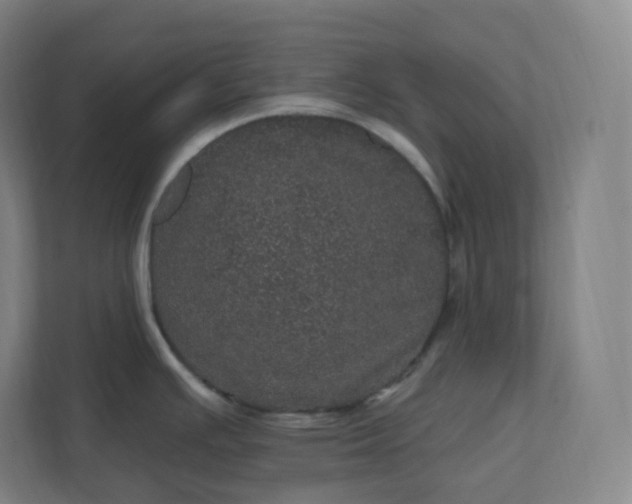 X0000112161391200908211425