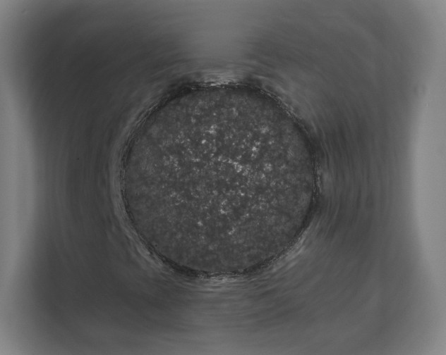 X0000112161393200908211425