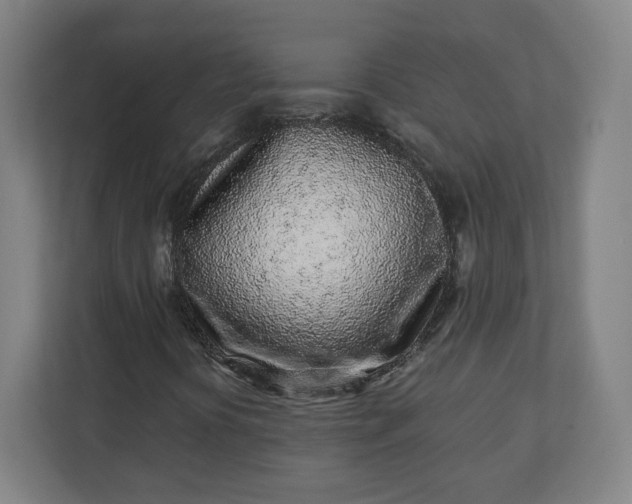 X0000112161394200908211425