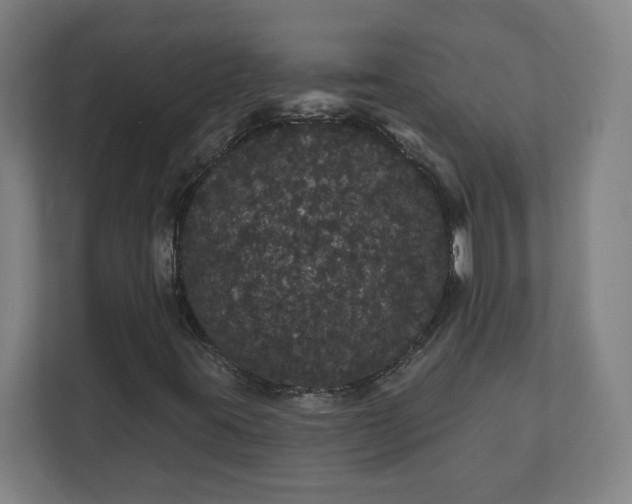 X0000112161395200908211425
