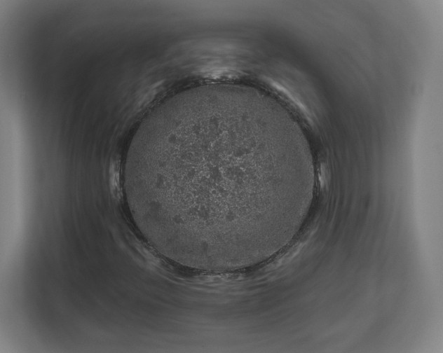 X0000112161396200908211425